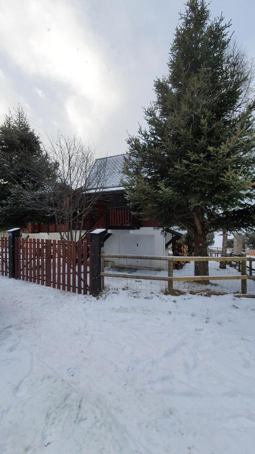 Chalet Les Sorbiers: Pyrenees Retreat with Garden and Ski Access Eyne Exterior photo